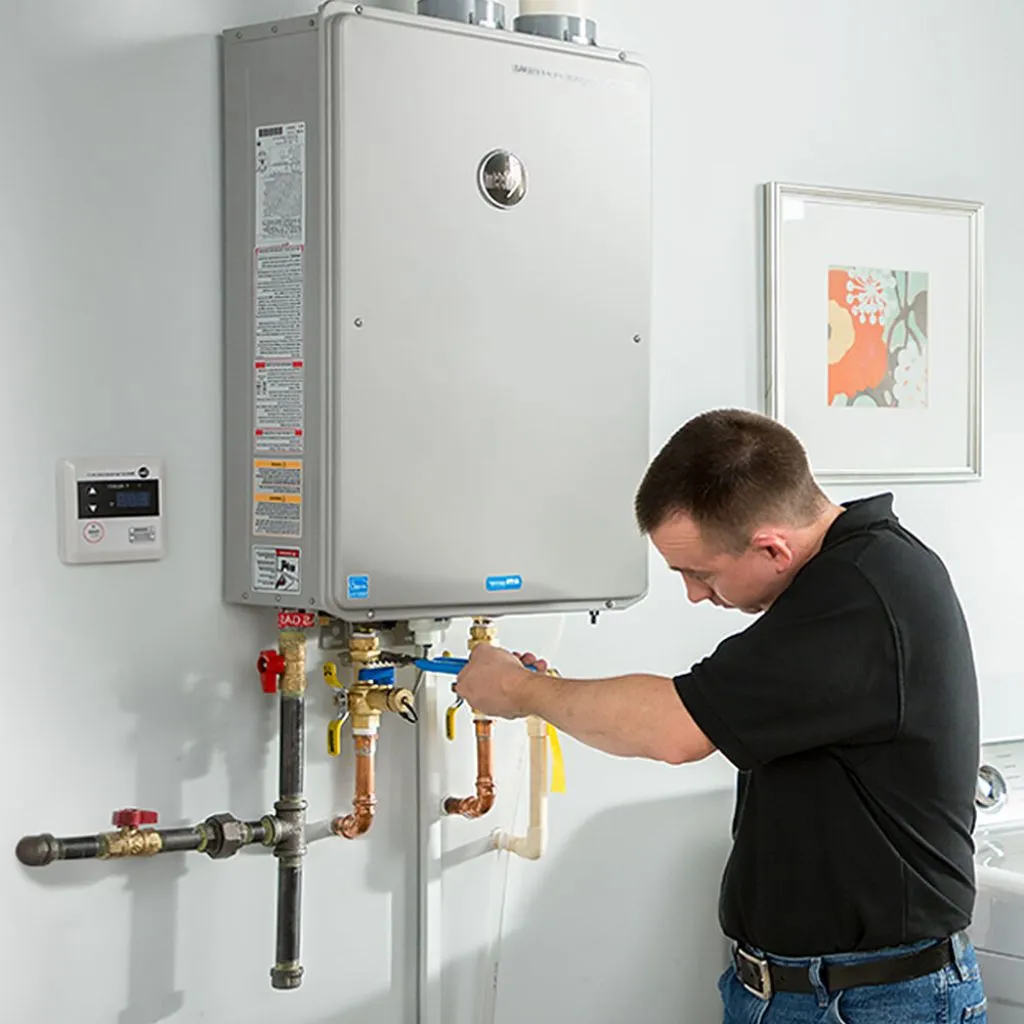 tankless water heater repair in Elsmere, NE